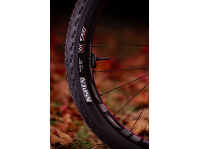 LIV Pique Advanced 29 0 click to zoom image