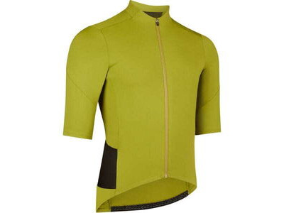 MADISON Roam Men's Short Sleeve Jersey, moss green click to zoom image